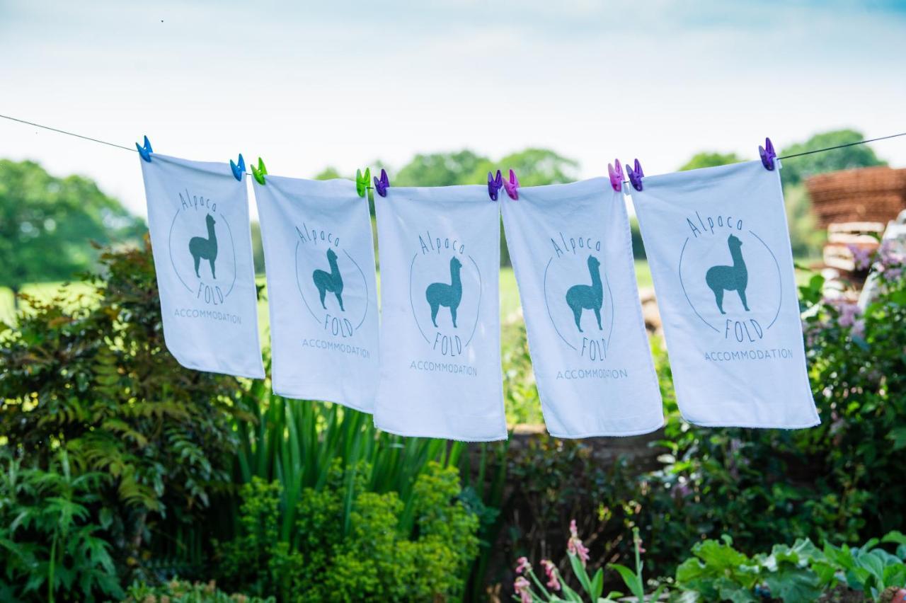 فيلا Alpaca Fold بريستون المظهر الخارجي الصورة
